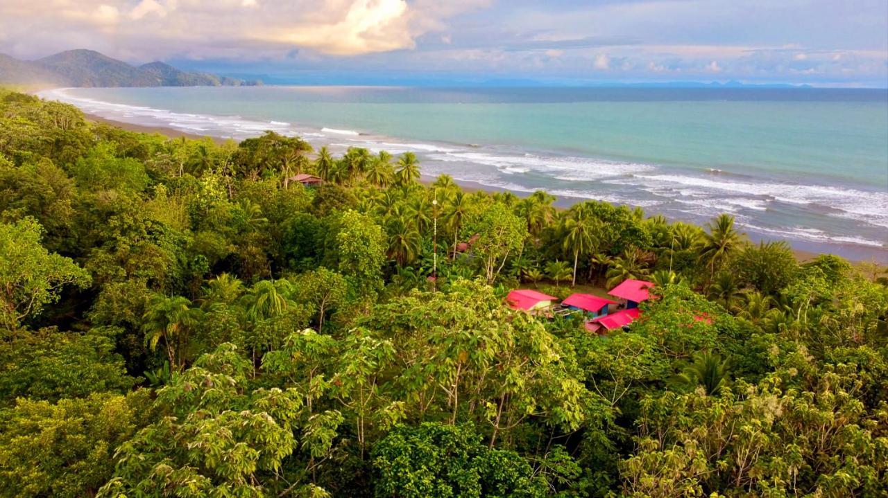 Tortuga Bay Eco Hotel El Valle  Exteriér fotografie