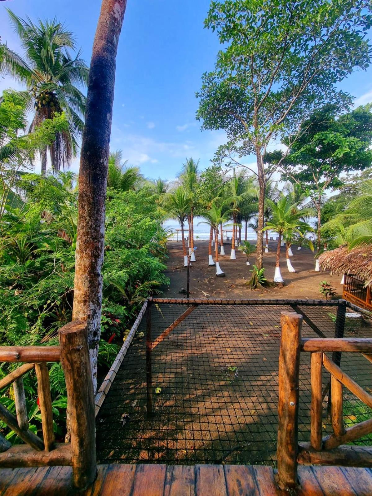 Tortuga Bay Eco Hotel El Valle  Pokoj fotografie